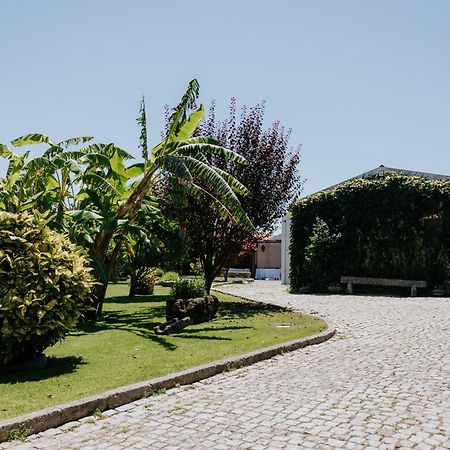 Casa Dos Meus Avos -Villas - Gaia & Porto Vila Nova de Gaia Ngoại thất bức ảnh